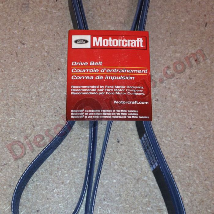 #15-050 SERPENTINE BELT - SINGLE ALTERNATOR