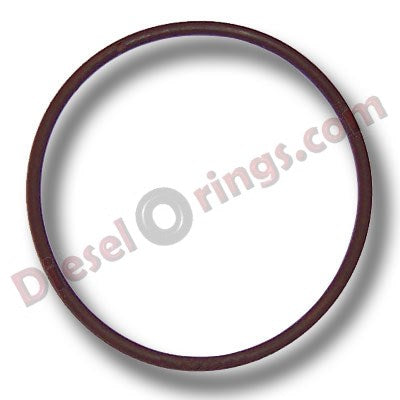 #49-009 FUEL CANISTER LID O-RING FORD 03-07 6.0L