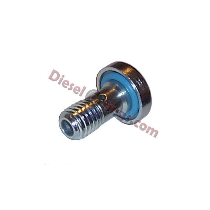 15019 Fuel Rail End Plug / Banjo Bolt DIESELORINGS