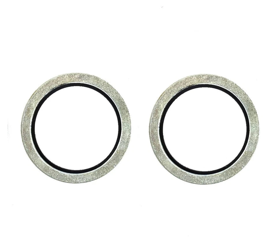 #6-055 BANJO BOLT GASKETS -PACKAGE OF 2